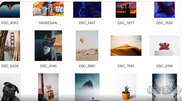 Billfish(素材管理工具)