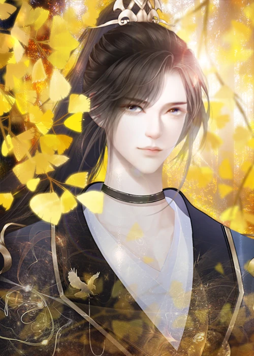 绝色男妃在争宠