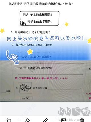 蜜蜂试卷