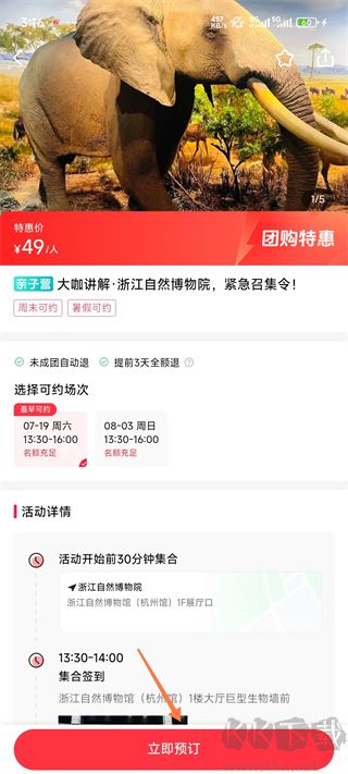 彩贝壳