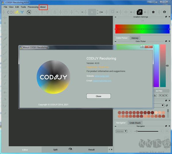 Codijy Colorizer Pro(图片编辑着色工具)