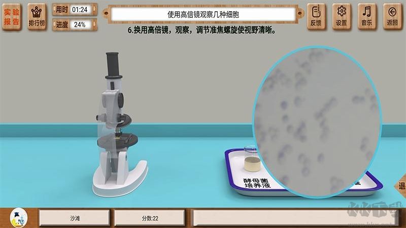 虚拟实验