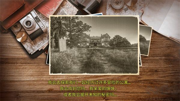 梧桐山上的秘密