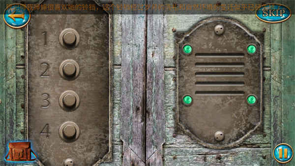 梧桐山上的秘密