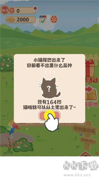 奇妙猫之家