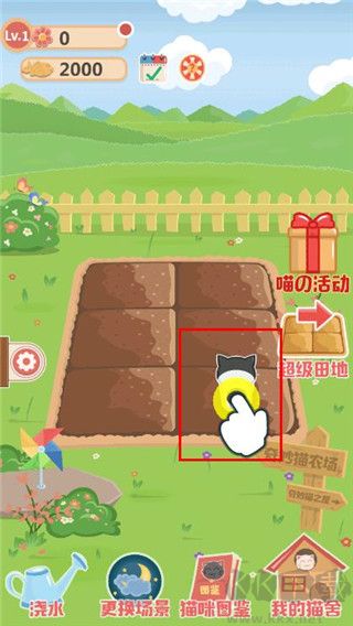 奇妙猫之家