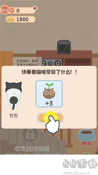 奇妙猫之家