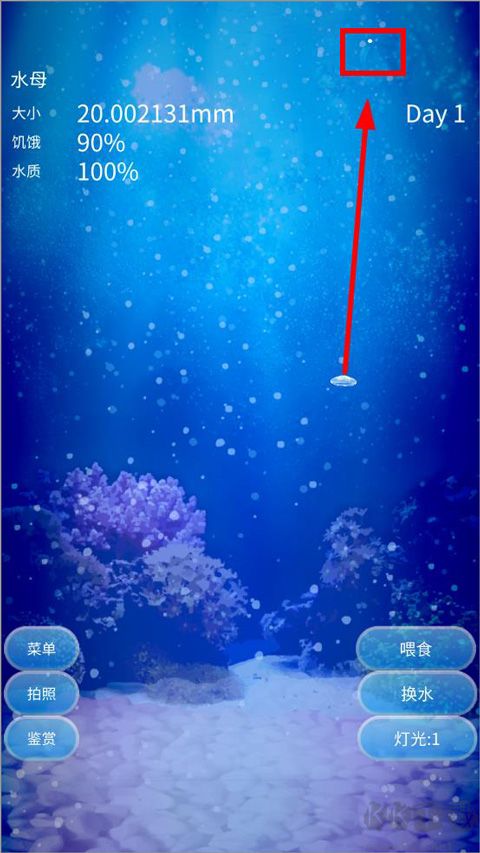 养育水母的治愈游戏