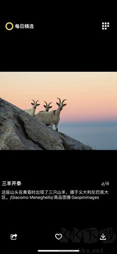 每日精选