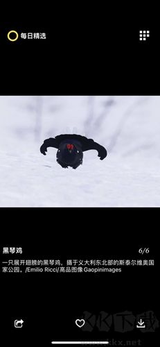 每日精选