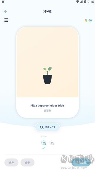 柠檬点点