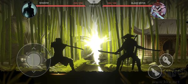 暗影格斗5(Shades)