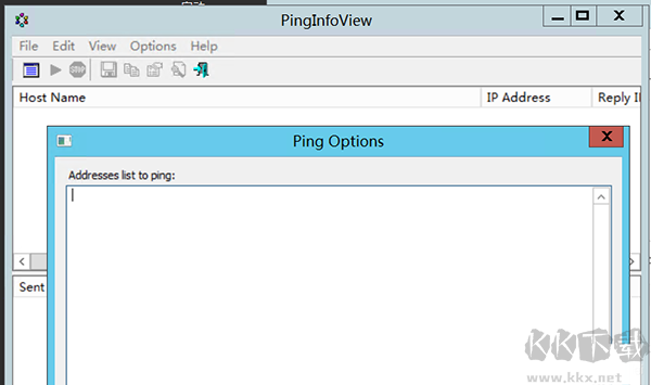 PingInfoView(IP工具)