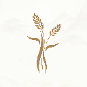 米禾阅读去广告版v1.5.2免费版