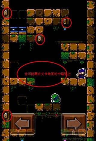 古墓探险家