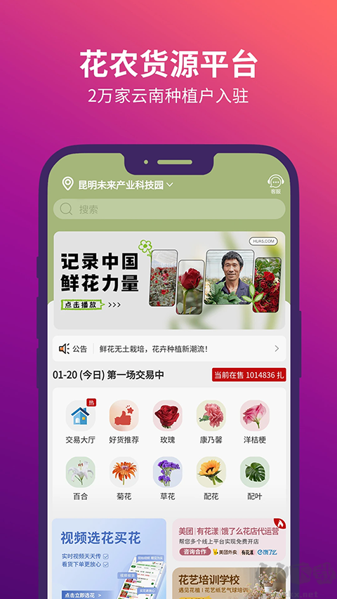 花伍鲜花