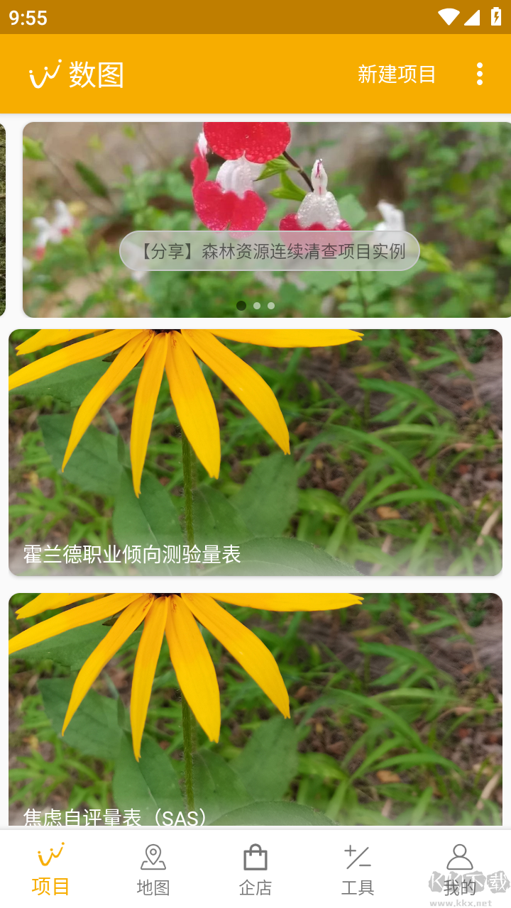 数图