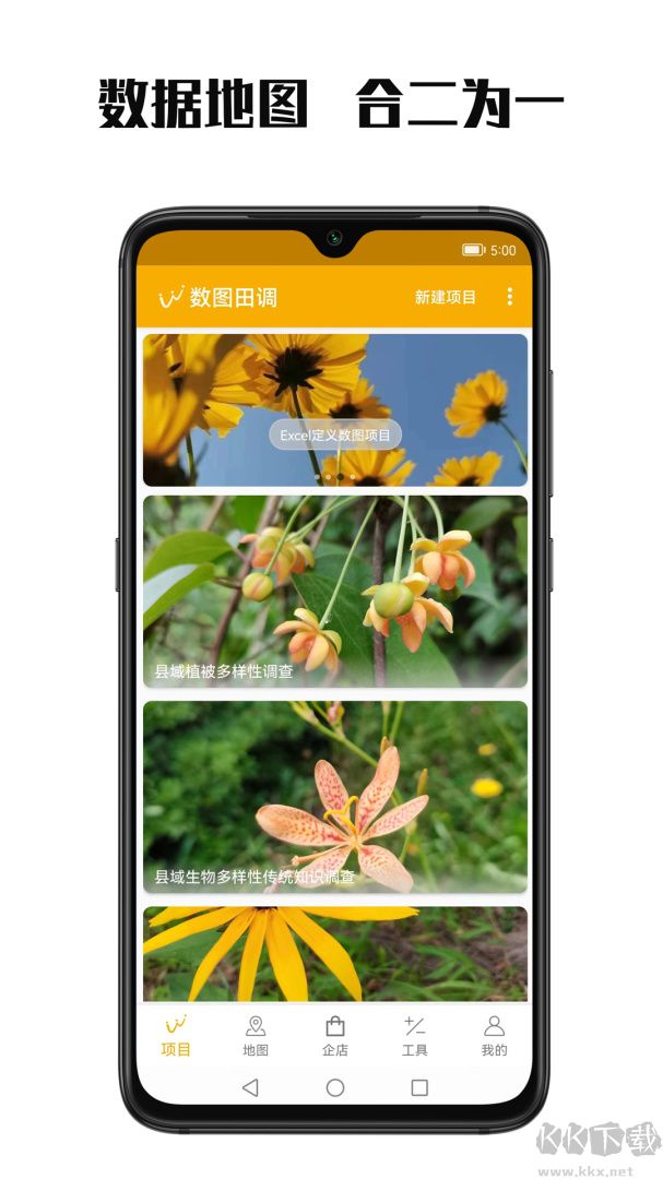 数图