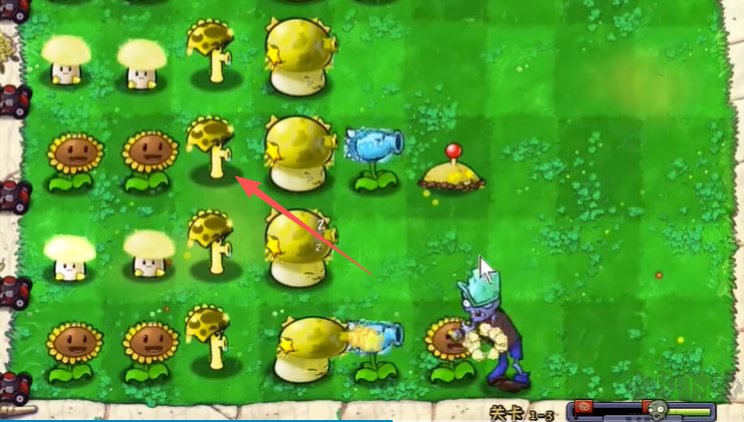 植物大战僵尸杨桃版手机版(内置菜单)