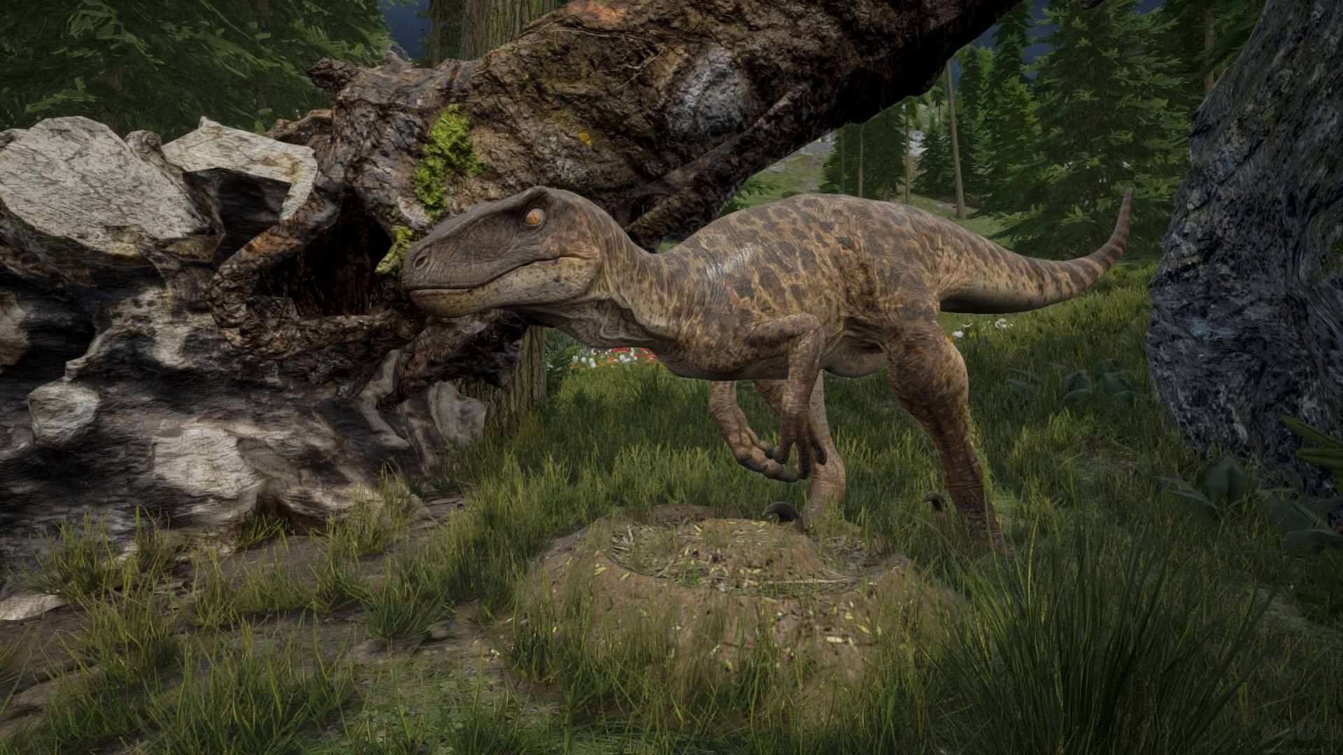 龙岛异兽安卓手机版