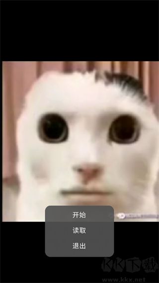 猫猫惊魂