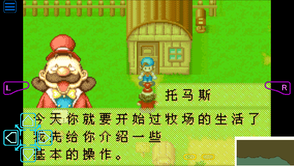 牧场物语矿石镇的伙伴们