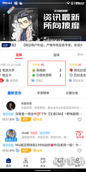 球进了