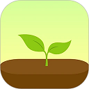 forest专注森林最新版 v5.1.3专业版