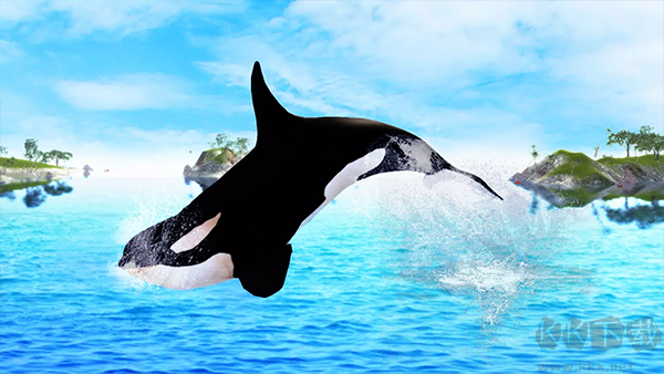 虎鲸模拟器(The Killer Whale)