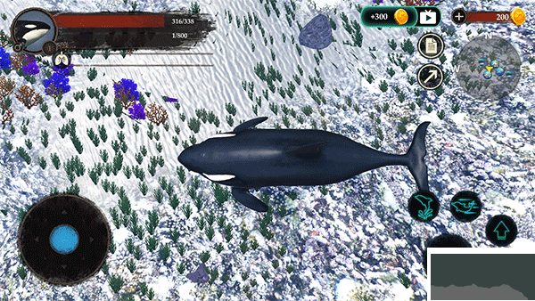 虎鲸模拟器(The Killer Whale)
