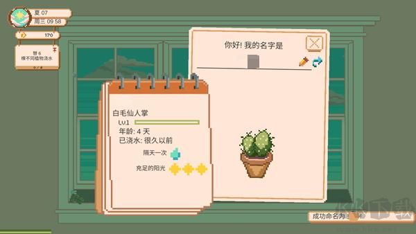 窗边花园(Window Garden)