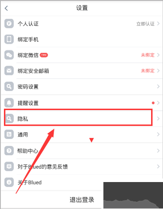 blued极速版免费版
