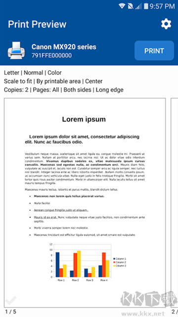 NokoPrint