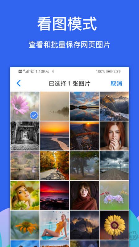 Alook浏览器app安卓版