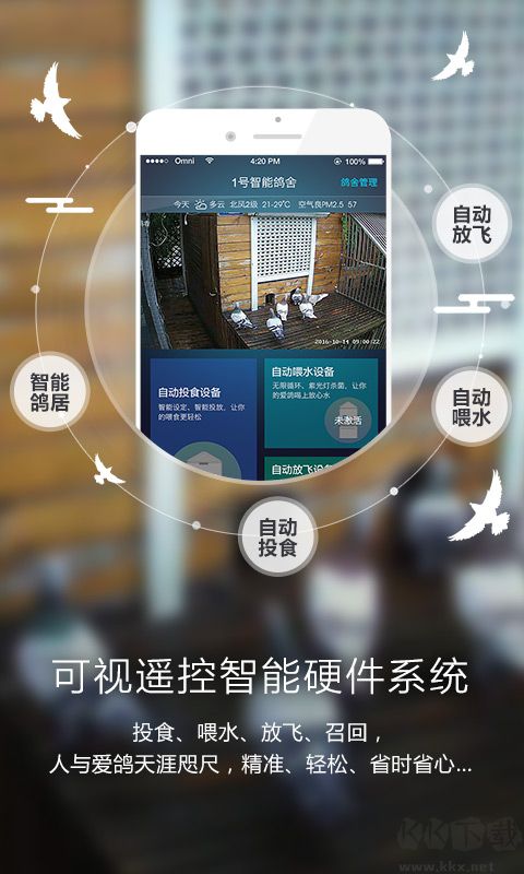 爱鸽者