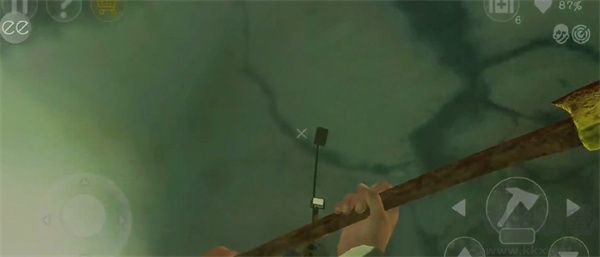 南极洲88号(Antarctica 88)