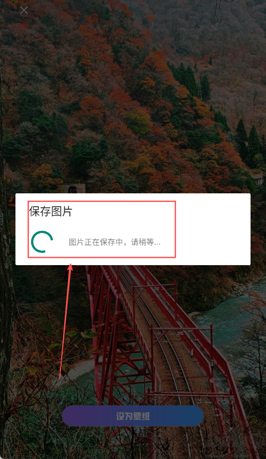 口袋免费壁纸