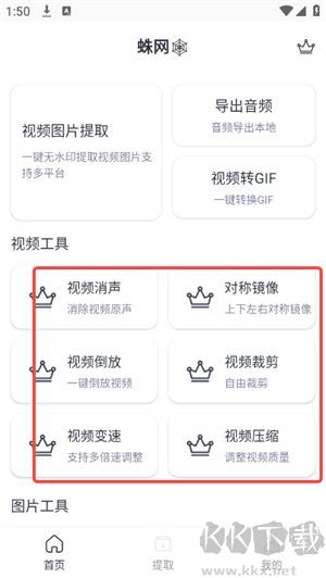 蛛网X
