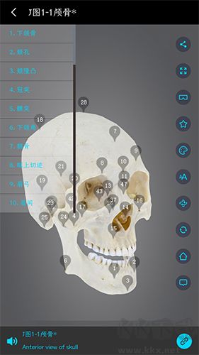 医维度解剖官方正版安装v3.3.20安卓版