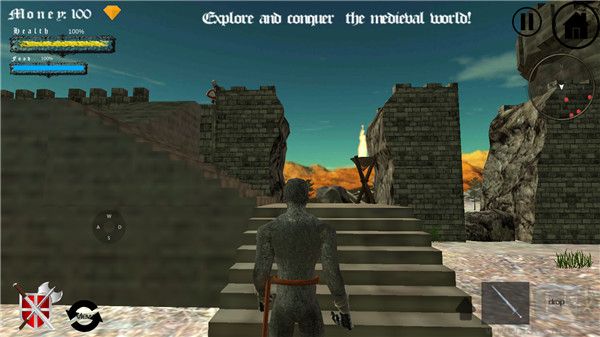 中世纪生存世界