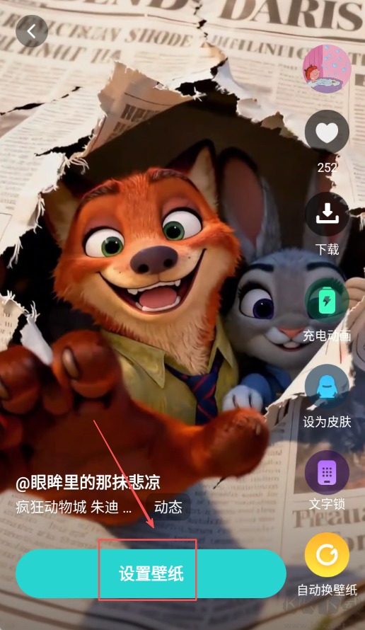 甜橙壁纸