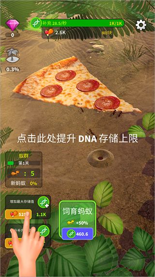 小小蚁群