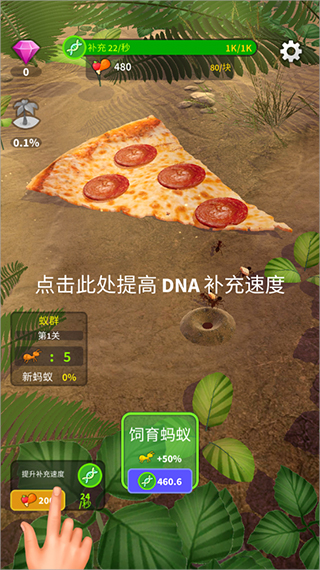 小小蚁群