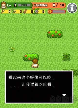 无人岛大冒险2(SurvivalIsland)