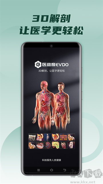 医维度解剖