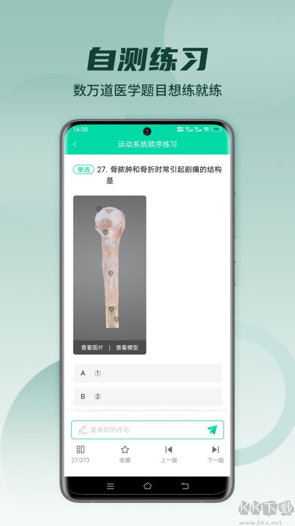 医维度解剖