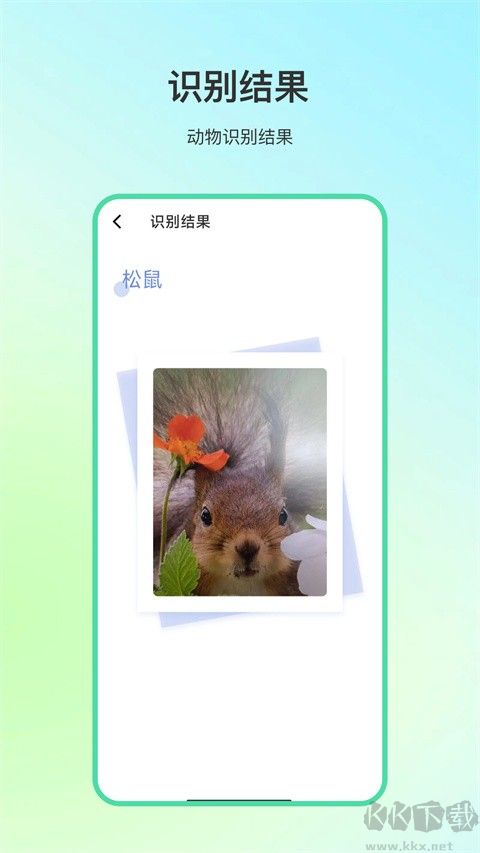 动物百科