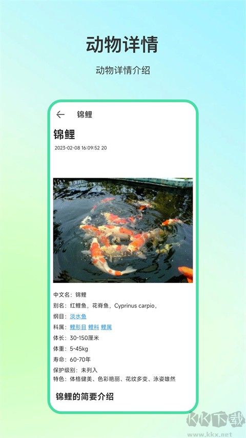 动物百科