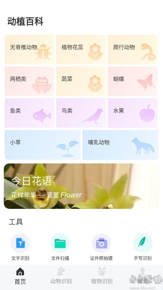 动物百科