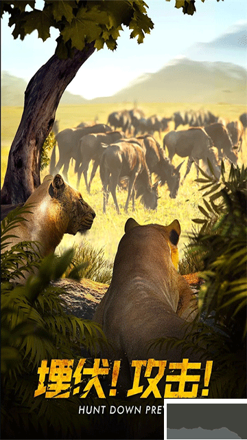 野兽领主新世界